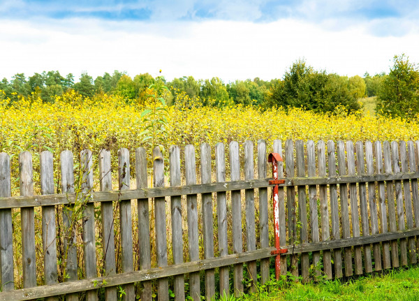 Fence Services